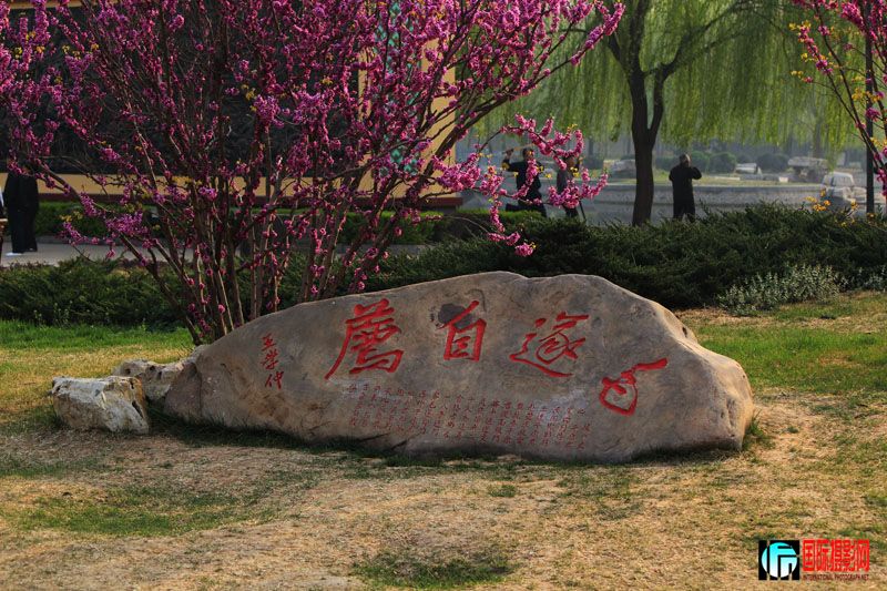 �������� һ�����ߣ��� ������Է��.jpg