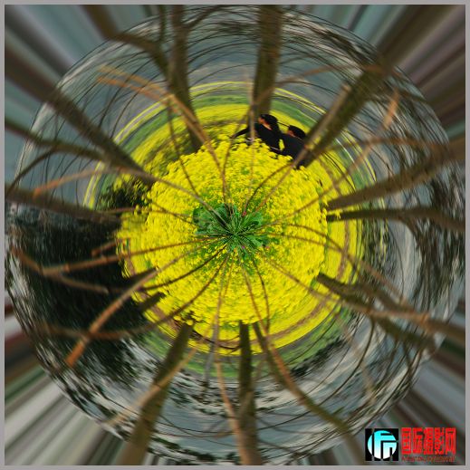 ������2 ȫ����  ����С.jpg