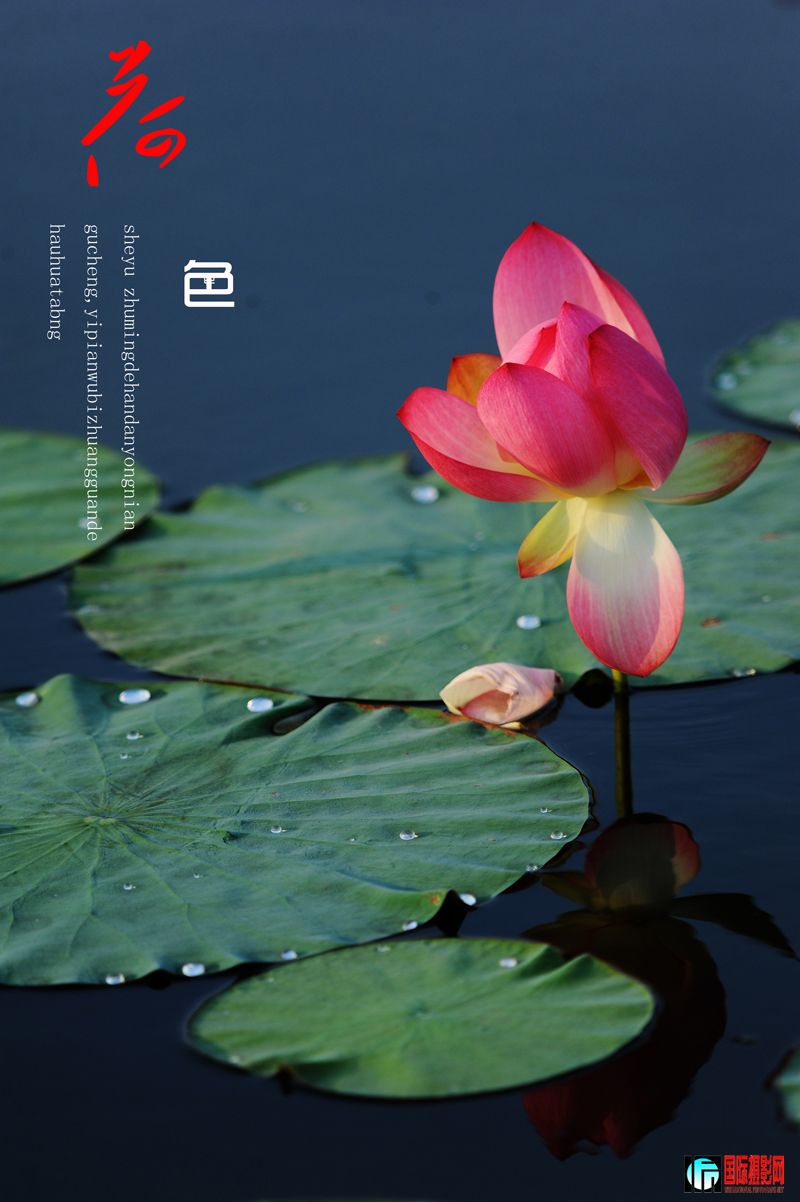 ��Ƭ 021��.jpg