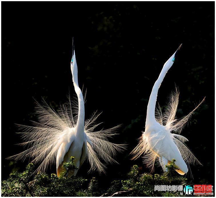 3.����������Ӱ��Ҧ���� ���ɫ���뿪����upi������.jpg