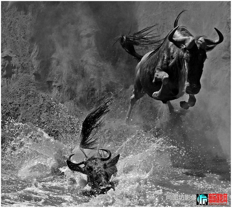 5.��Ծ����Ӱ���¿��� ��ڰ����뿪����fss������.jpg