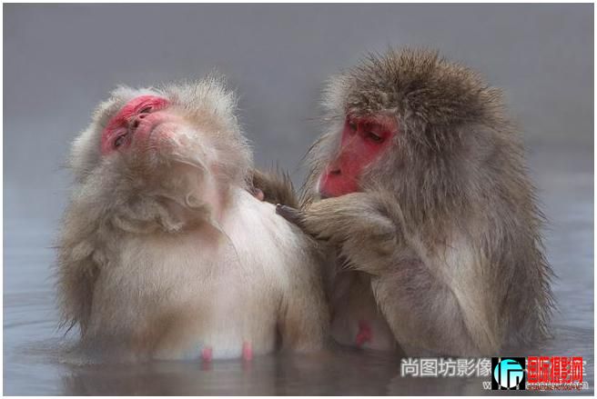 11.��relaxing 2�� ��Ӱ��silvana sutanto ���¼��£� ����Ȼ��fzs����.jpg