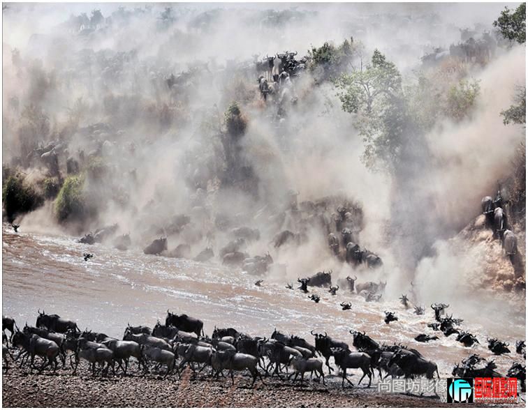 1.��̤�˶�������Ӱ���¿��� ����Ȼ��--Ұ��������ѻ�����.jpg