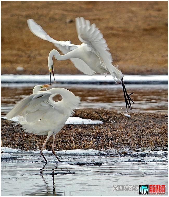 3.���������衷��Ӱ��Ѧ ��.jpg