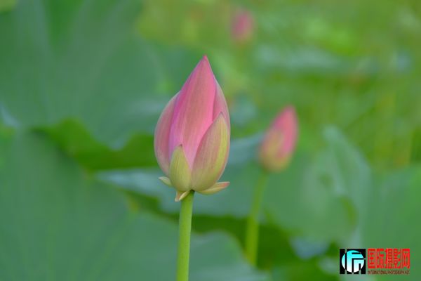 http_imgload6 (1)6.jpg