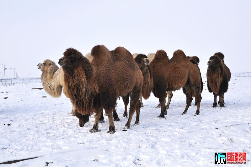 ���� _DSC0102.JPG