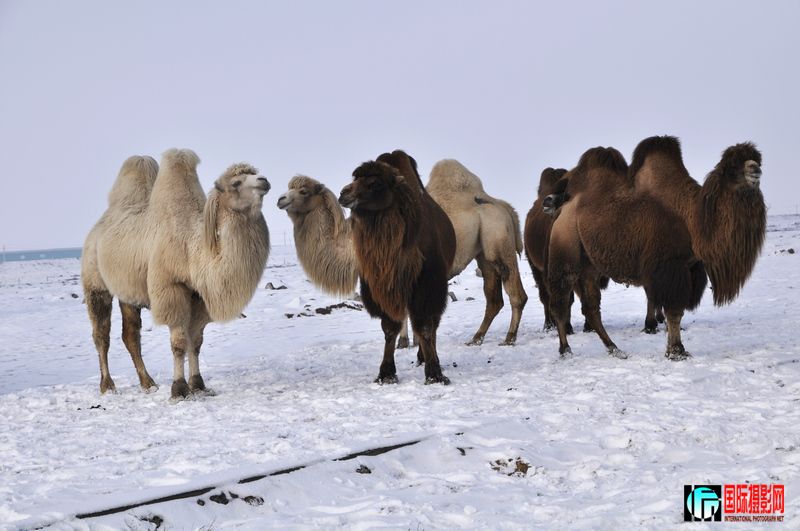 ���� _DSC0130.JPG