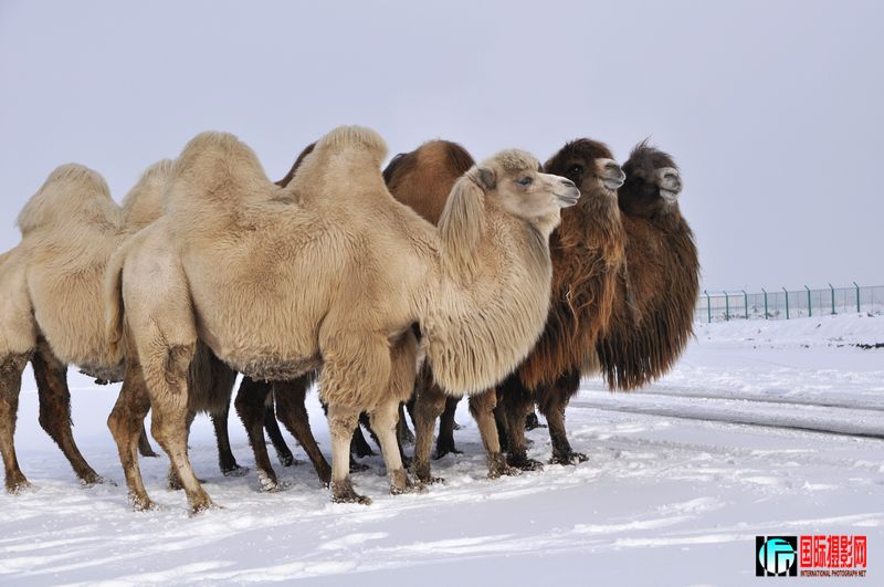 ���� _DSC0121.JPG