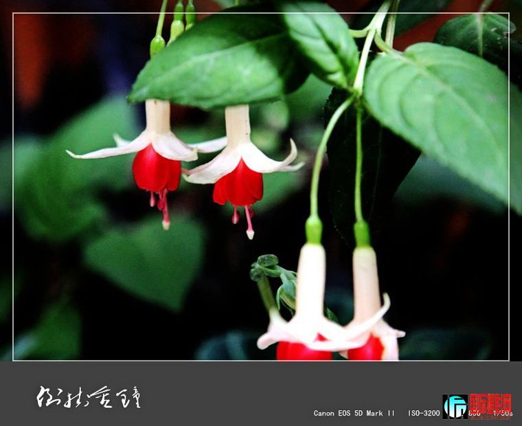 ������ 226_����.jpg