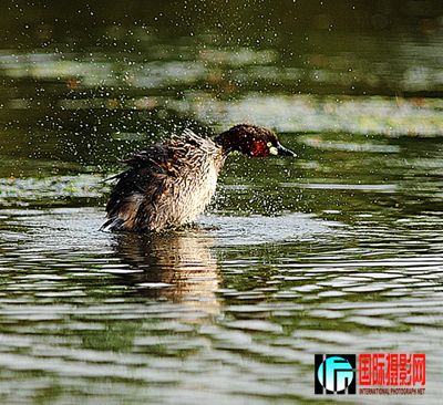 ��Ƭ������ 087.jpg