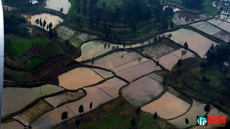 P1030966AAA ����.jpg