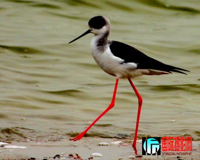 �κ������� (31).JPG