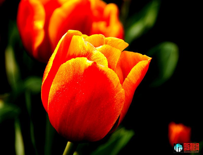 ��Ƭ 769_����.jpg