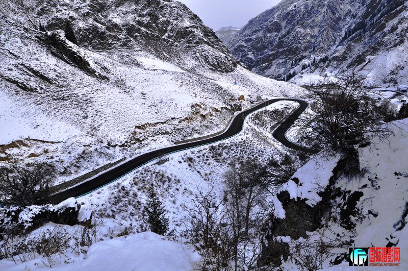 ���� _DSC0031.JPG