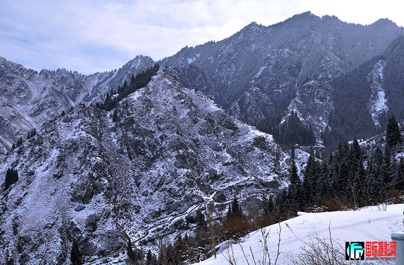 ���� _DSC0032.JPG