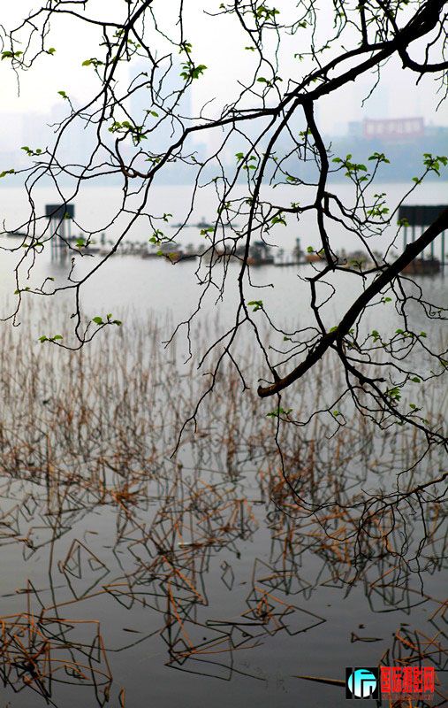 ��Դ��Ƭ 002_����.jpg