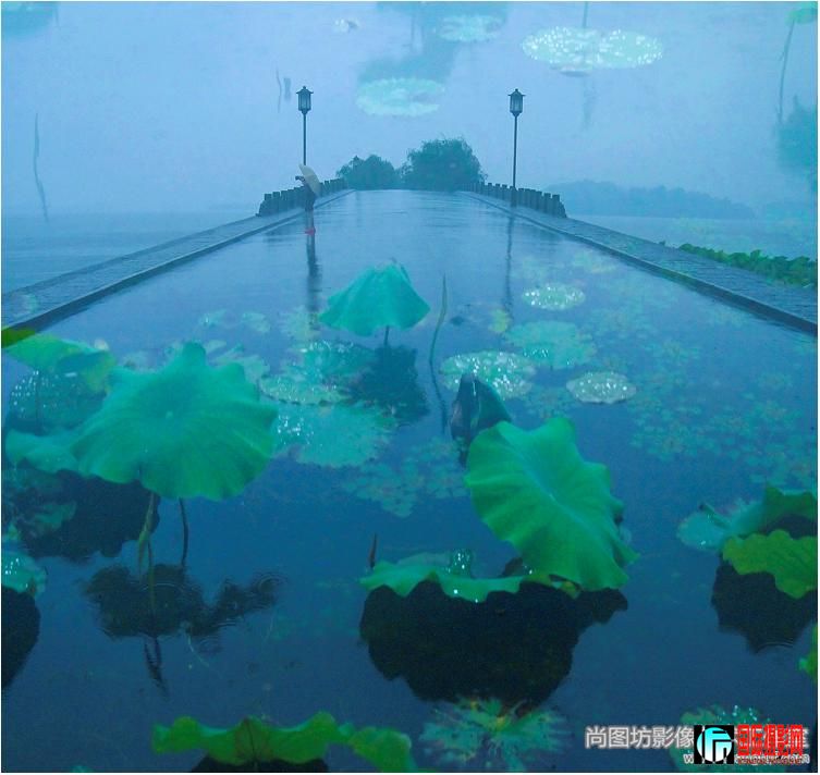 �����š� ��Ӱ���� �� ��ѡʵ����.jpg