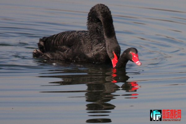 �����  ֮����5��.jpg