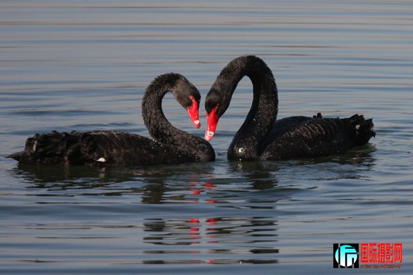 ����� ֮һ   ��ż��4������.jpg