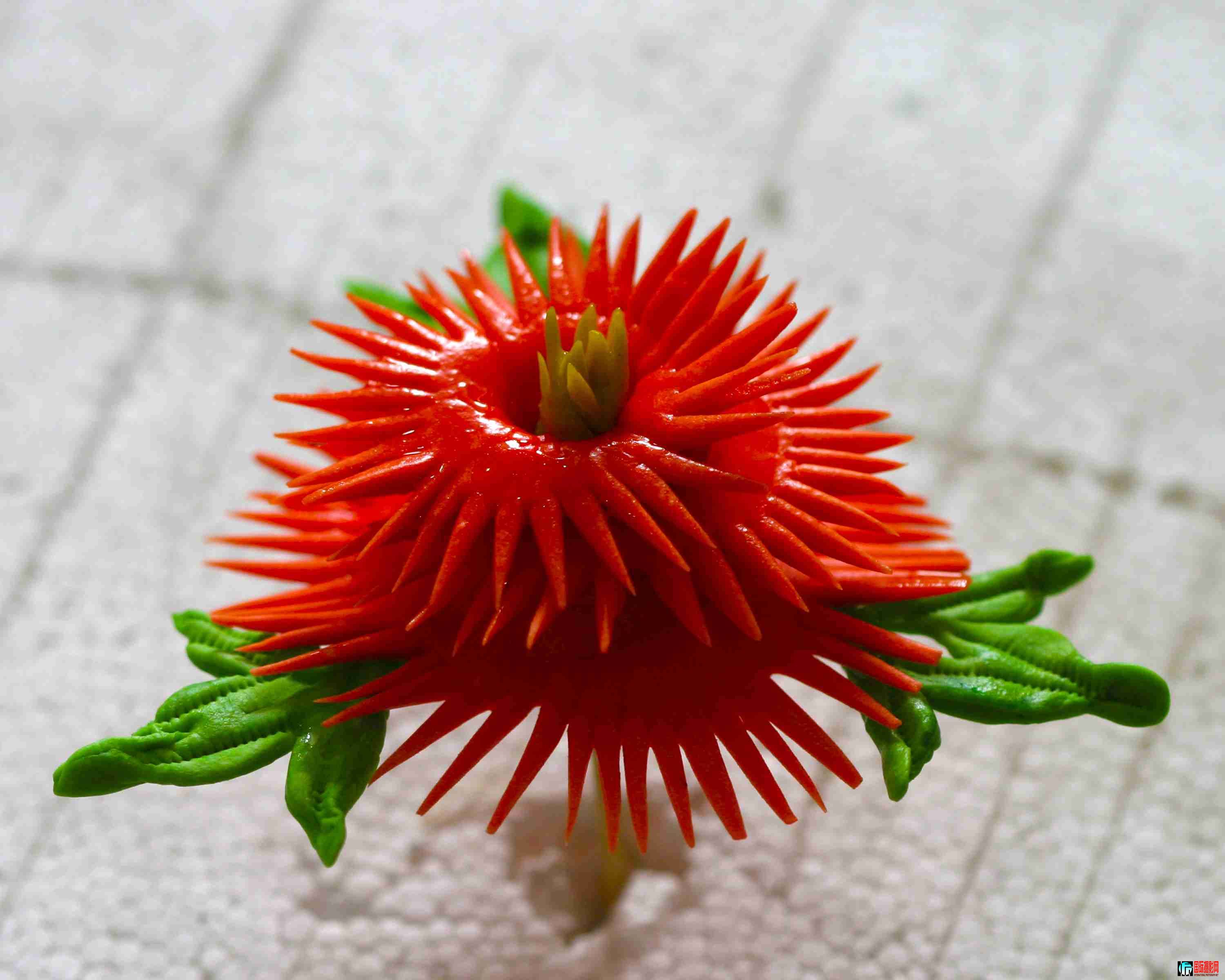 ���ֻ��� (31).JPG