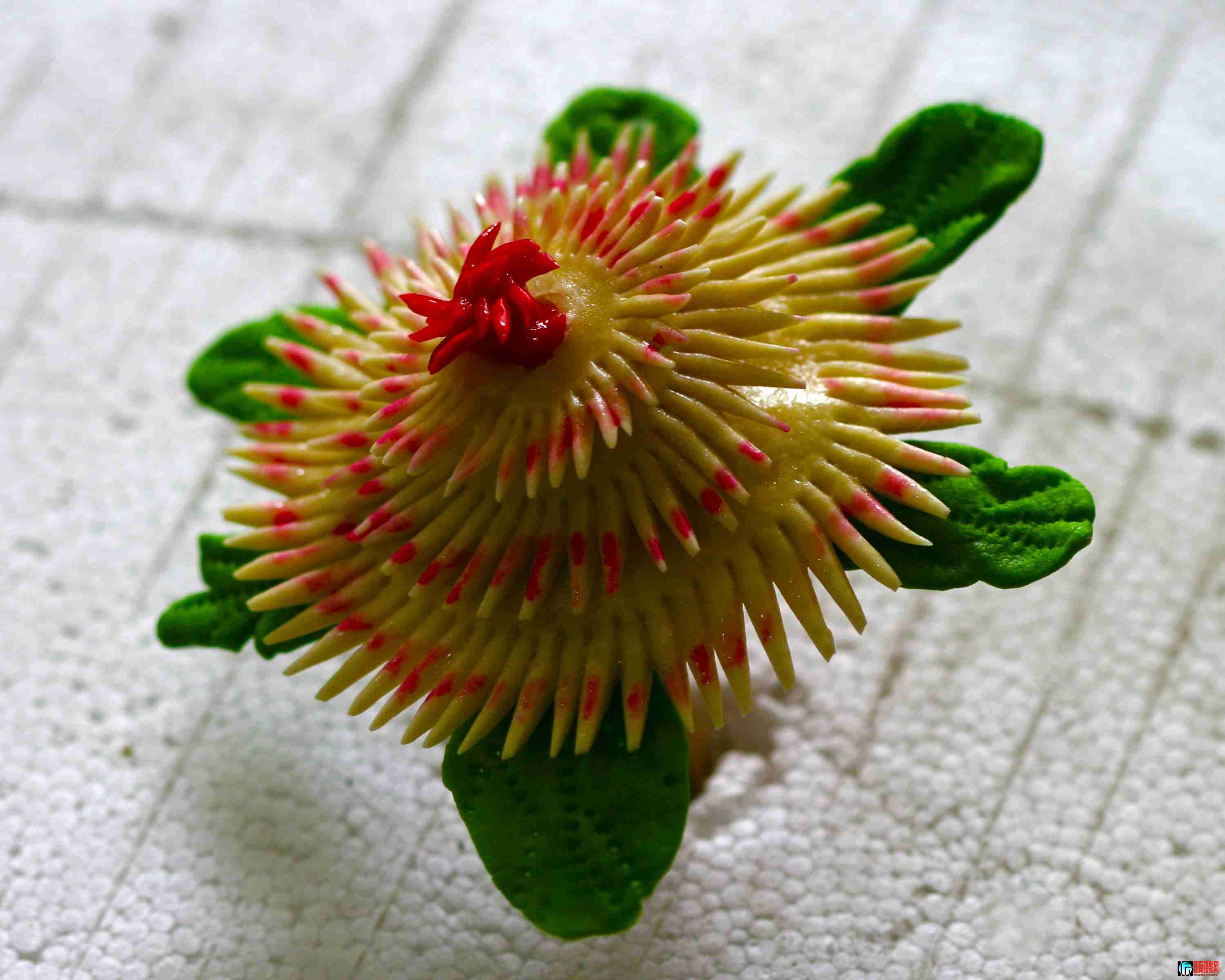 ���ֻ��� (32).JPG