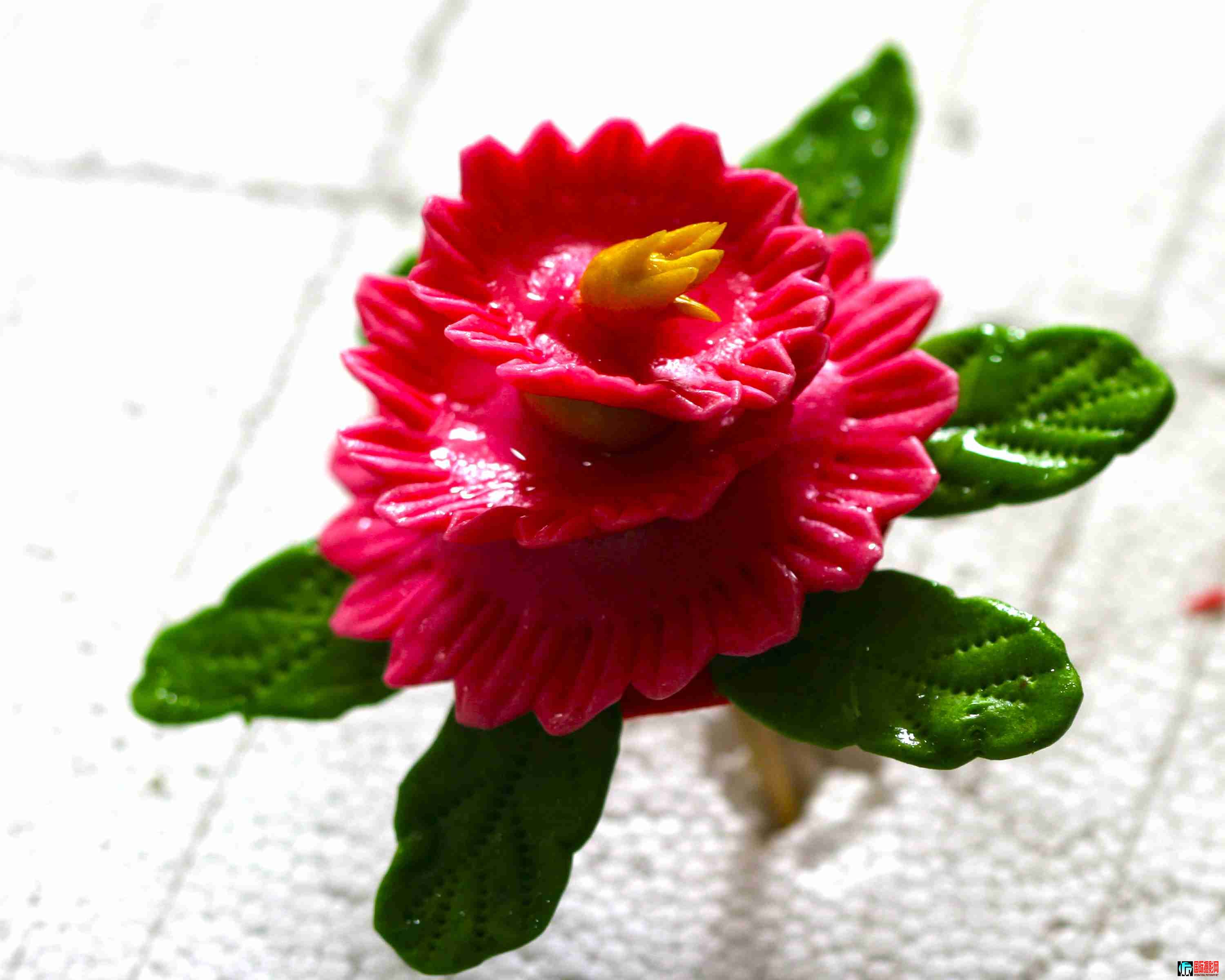 ���ֻ��� (30).JPG