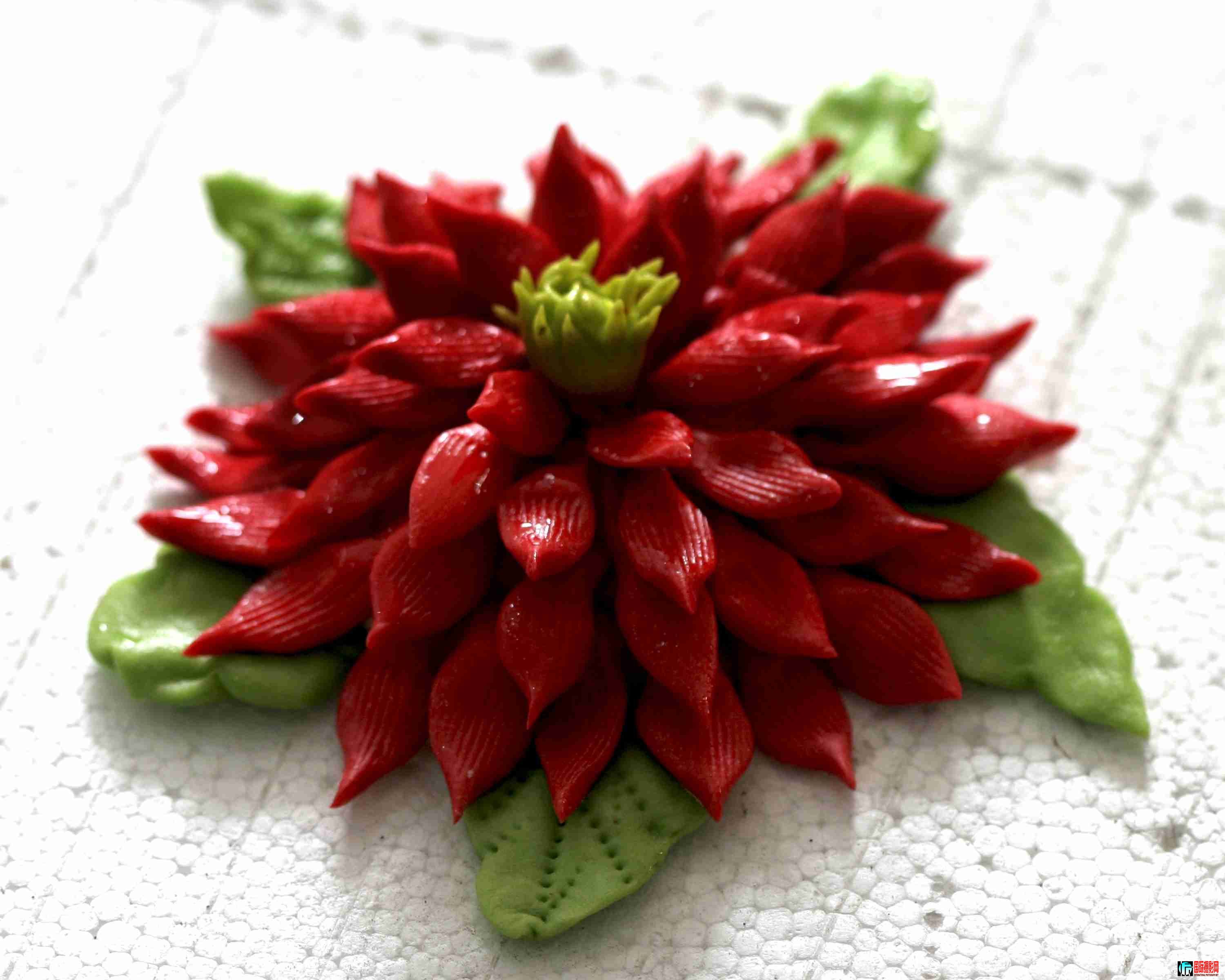 ���ֻ��� (34).JPG