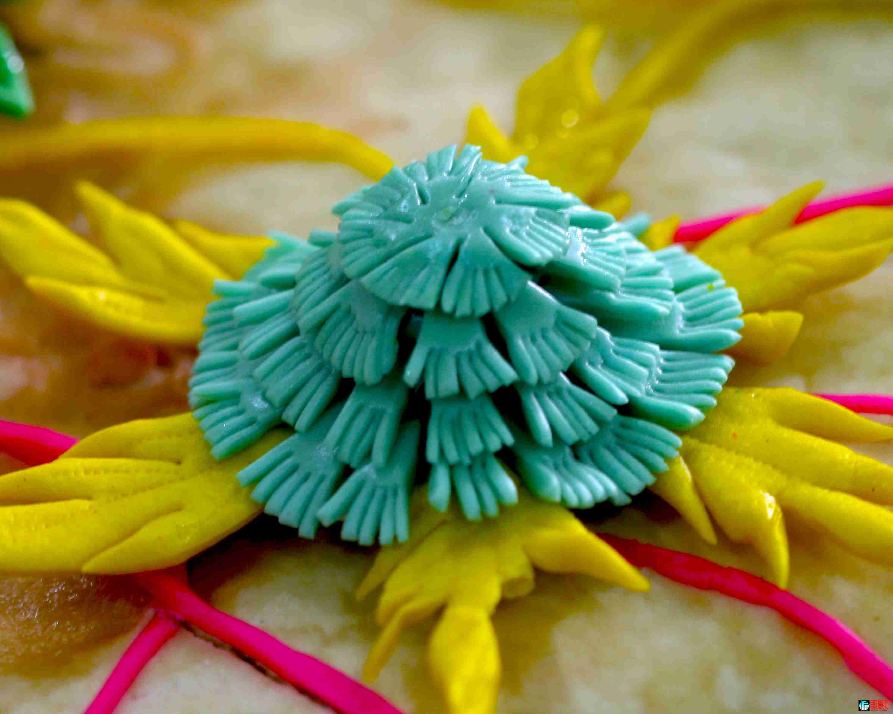 ���ֻ��� (26).JPG