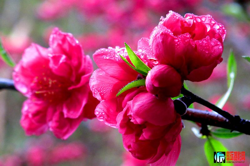 2012-1���� 065.jpg