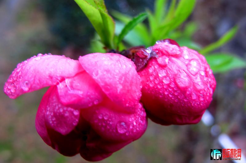 2012-1���� 051.jpg