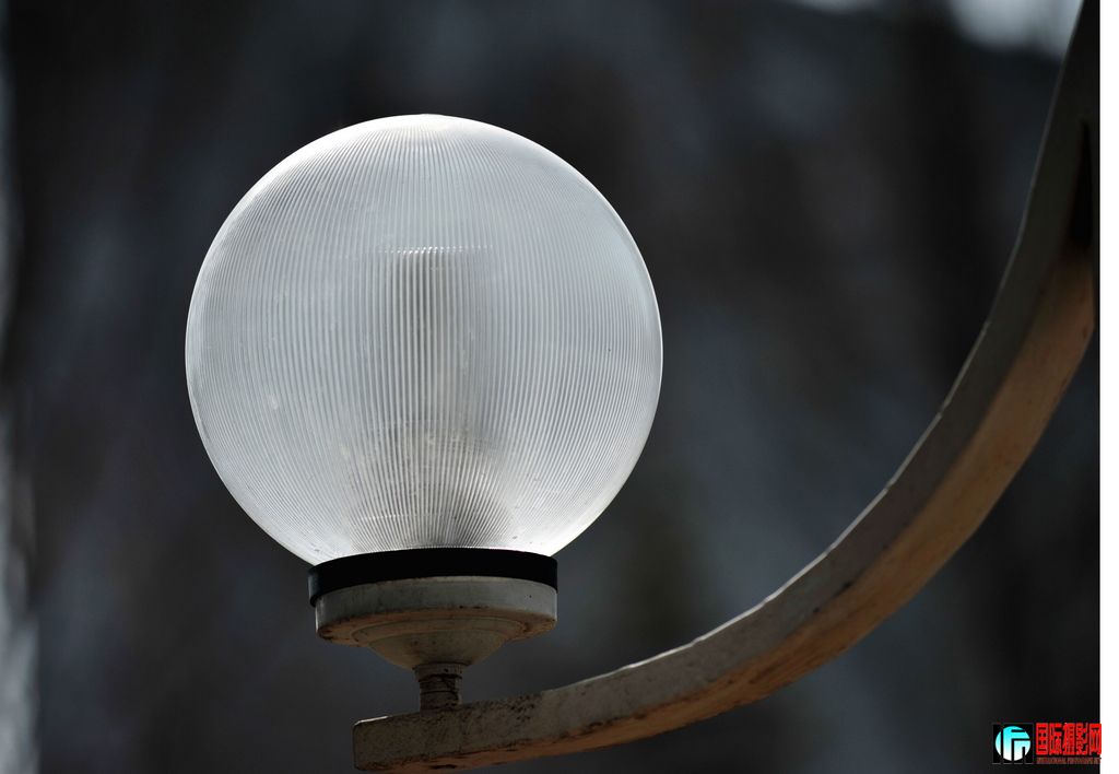 ���� DSC_1045.JPG