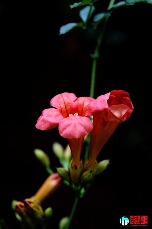 ������Ƭ 114.jpg