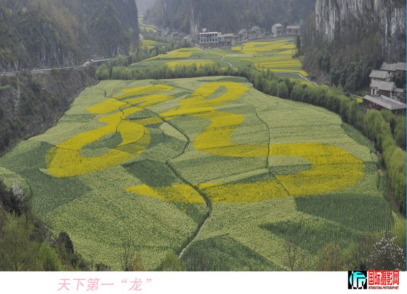 �����Ͳ˻� 079.jpg