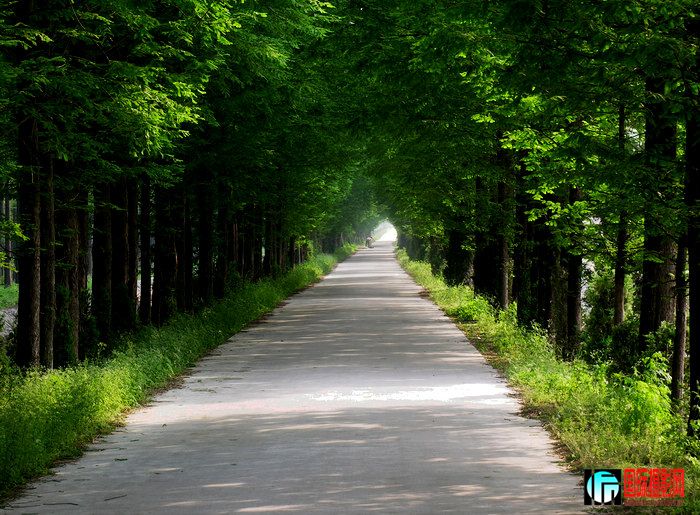 ����ˮɼ (1).JPG