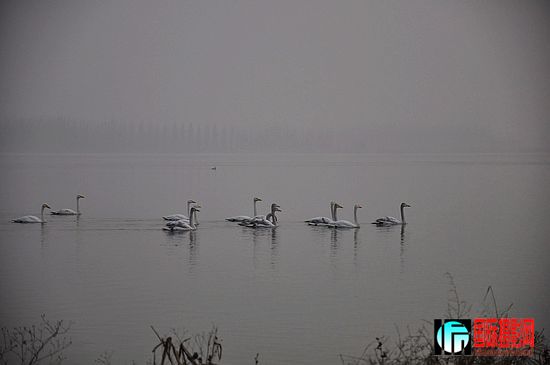 nEO_IMG_��Ƭ 425.jpg