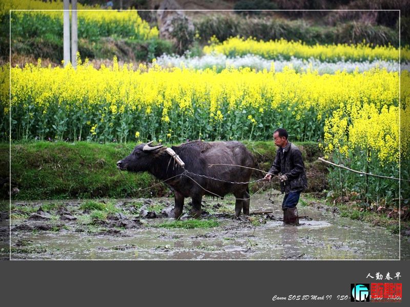 ��Դ��Ƭ (440)_conew1_����.jpg