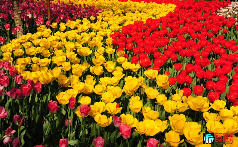 ��Ƭ 596_����.jpg