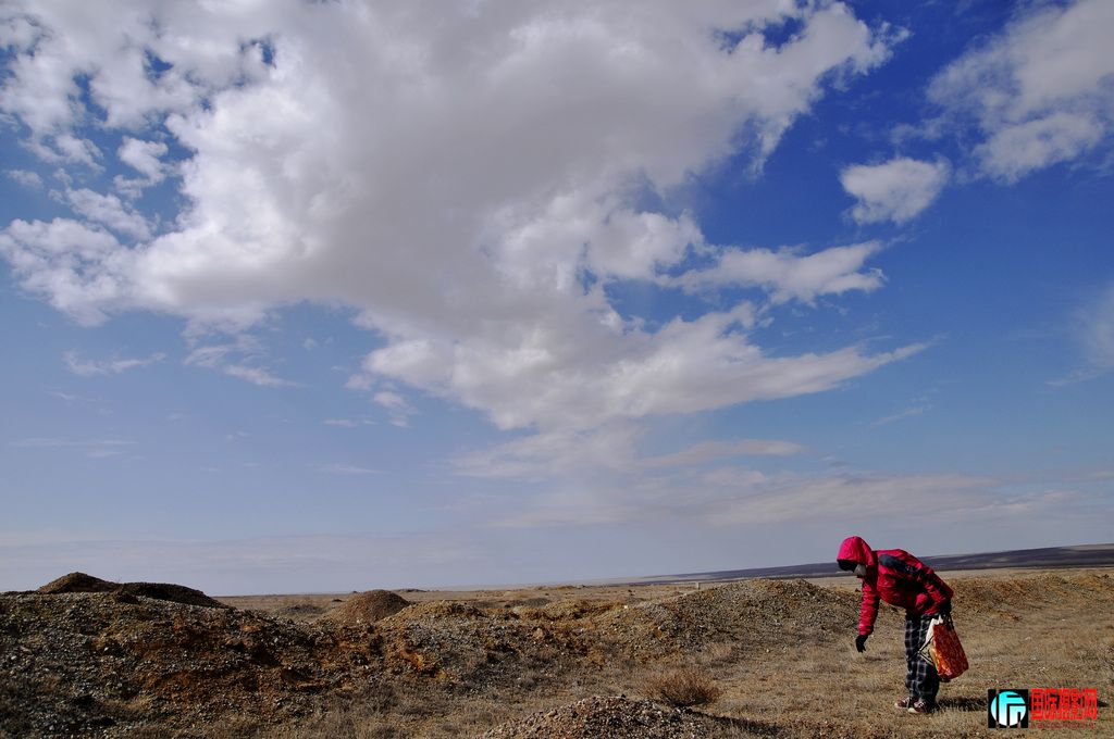 ���� _DSC0053.JPG