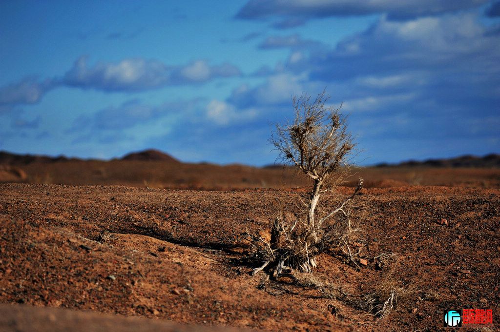 ���� DSC_1331.JPG