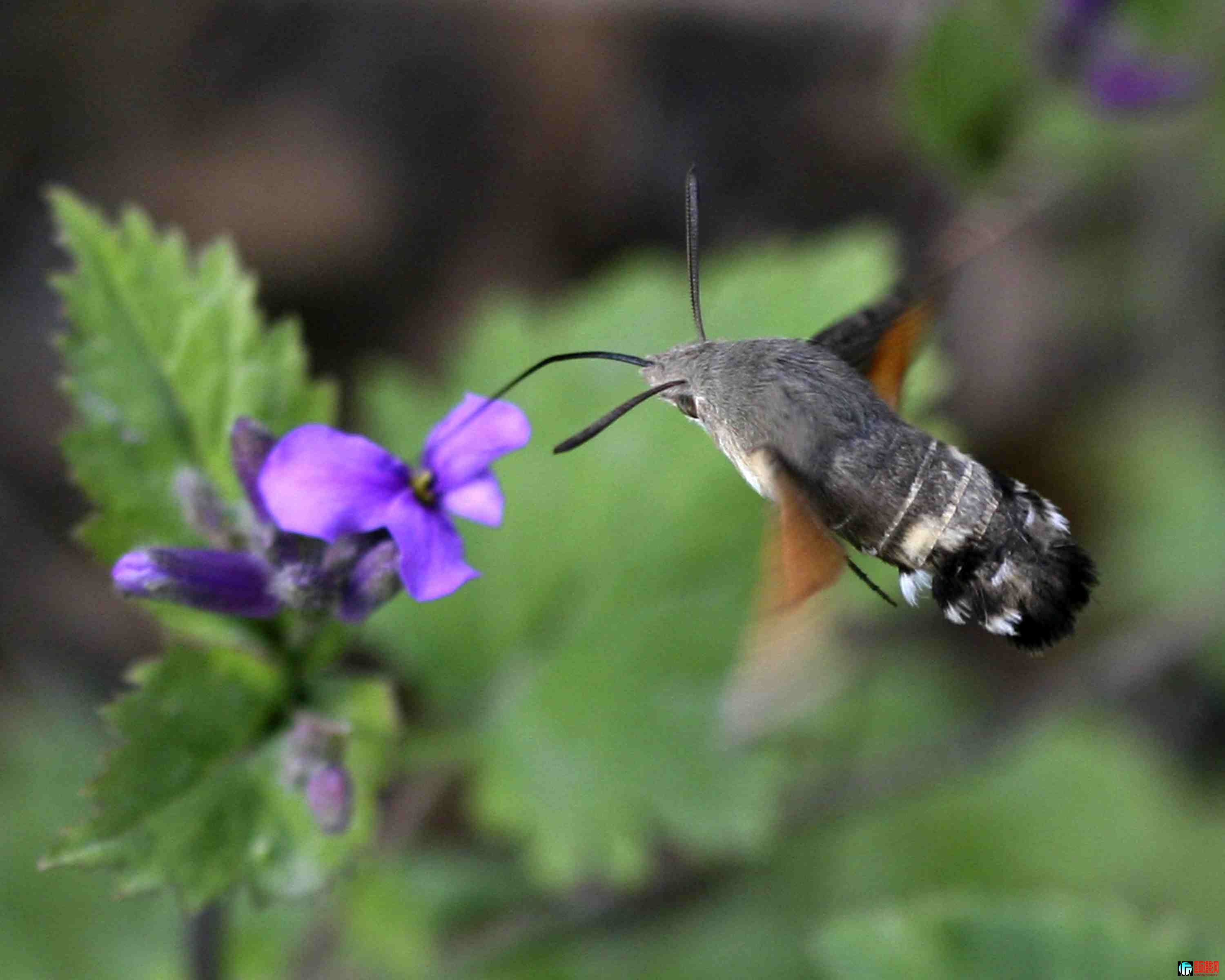 С�������� (5).JPG