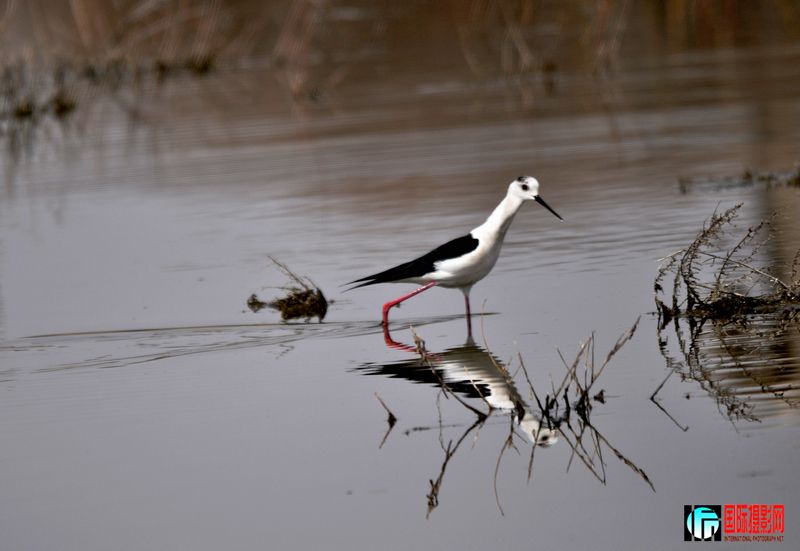 ���� _DSC0212.JPG