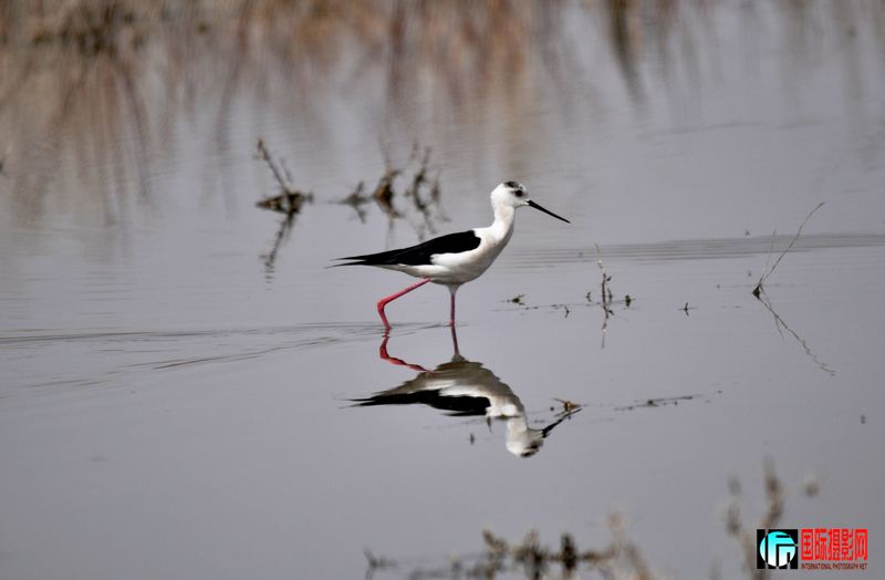 ���� _DSC0209.JPG