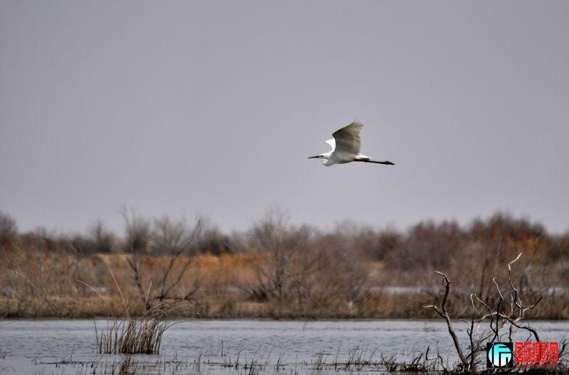 ���� _DSC0176.JPG