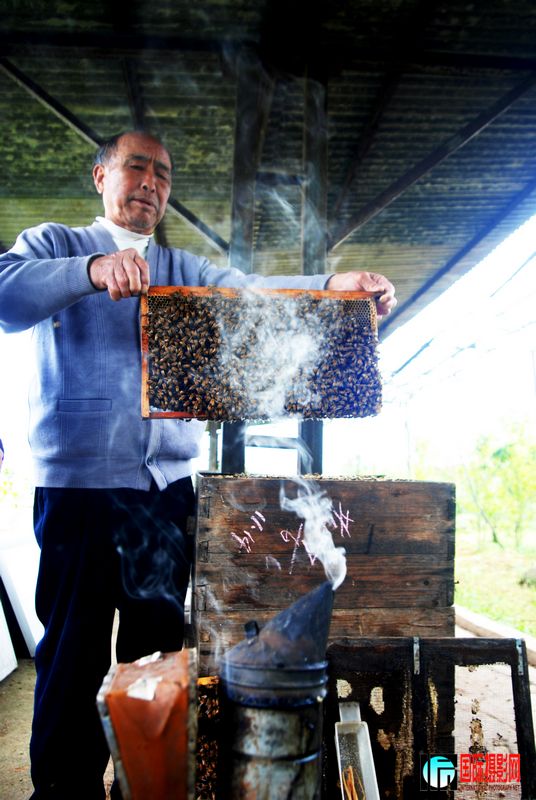 ����������չʾ���ı����ǡ�ǰ��ĺ�����ð��Ũ�̣�����˵���ܷ�ֹ�۷����ˡ�