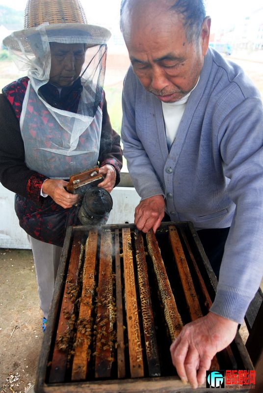 ���ϼ��������������˵����Щ����������䣬������ǿ���������ƽ������������ǿ���ص㡣