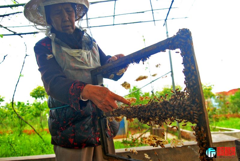  ���ϵ��ϰ�ָ���۷������˵����Щ���Ǳ�����һ����ҳ�ܲ�8�����ҵķ��ۣ������ųɱ������ӣ������Ѿ����� ...