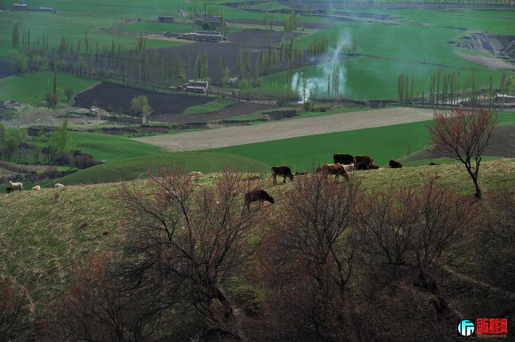 ���� DSC_1459.JPG