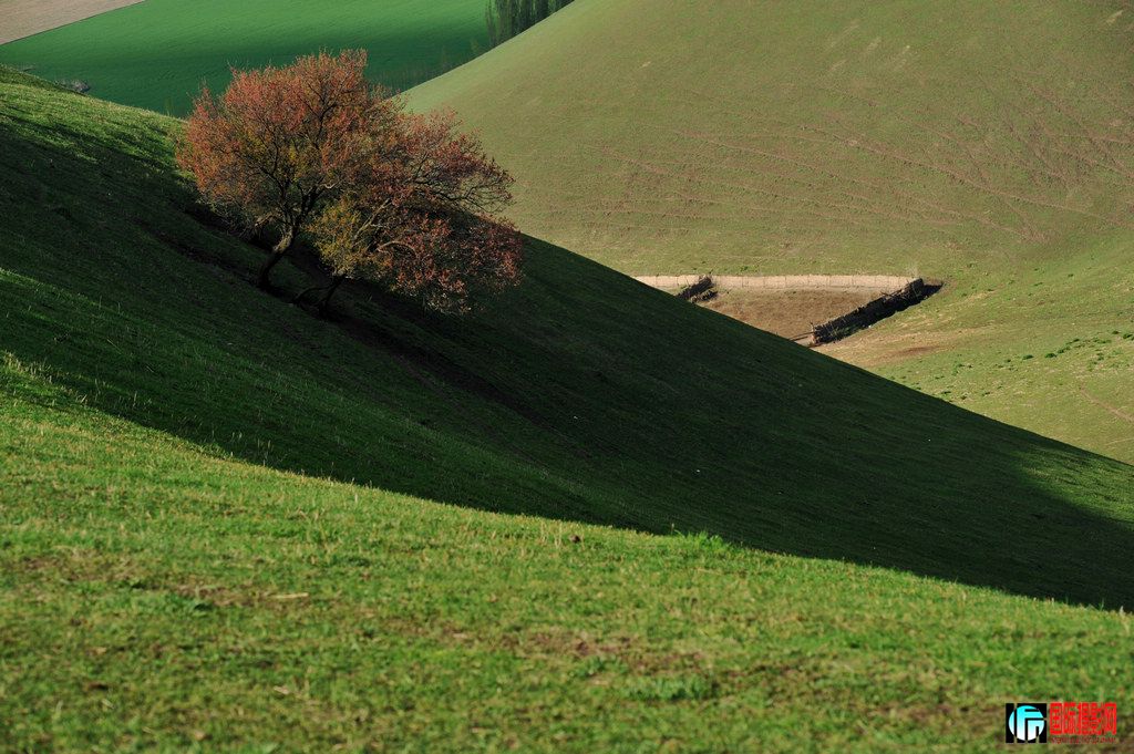 ���� DSC_1617.JPG