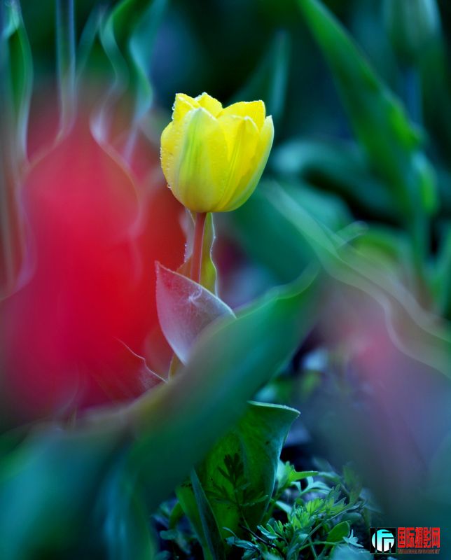 ���� DSC_1676.JPG