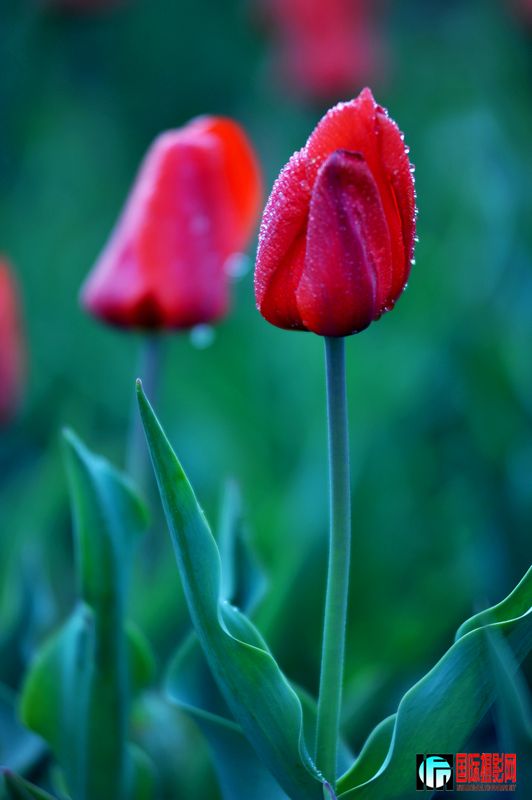 ���� DSC_1672.JPG